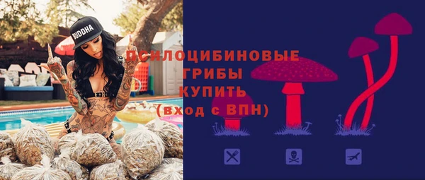 не бодяженный Алексин